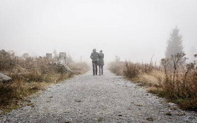 sebastian-pichler-6kJGjk3eANA-unsplash